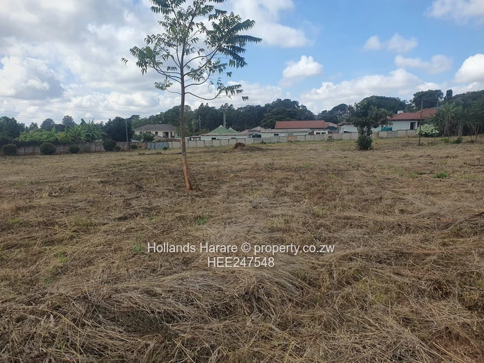 Land available in good location 