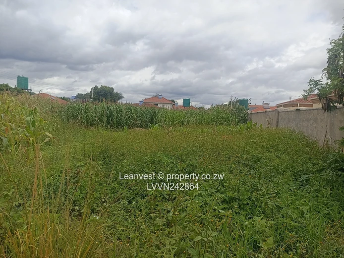 Goodhope Stand For Sale 