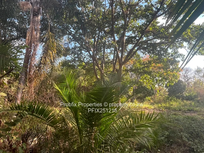 Prime Commercial Land For Sale In Avondale