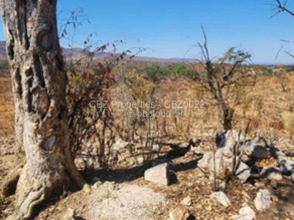 Commercial & Industrial Land