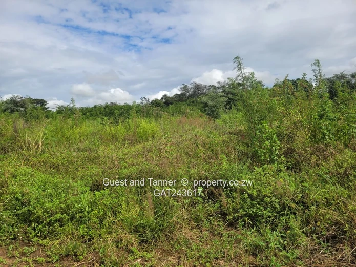 Choice of 2 Stands in Crowhill 