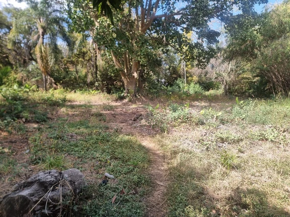 Commercial & Industrial Land