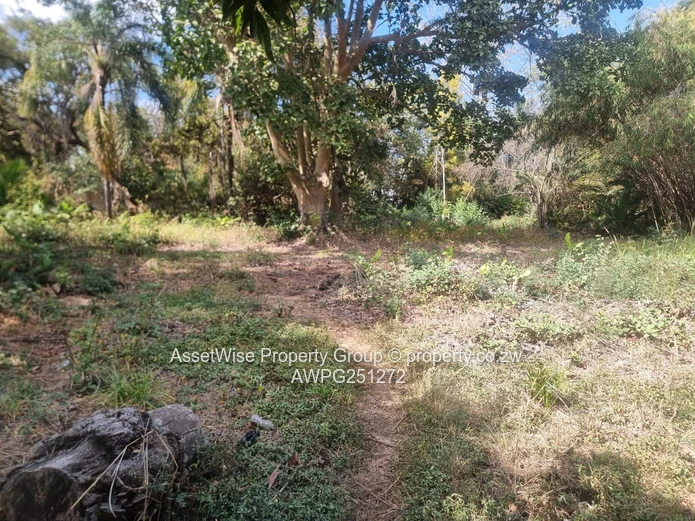 2100m² Tree-lined Commercial Plot in Avondale — Services