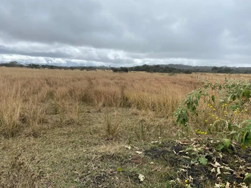 Farm & Agricultural Land