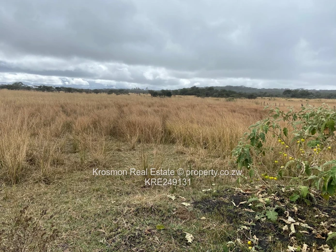 Plot For Sale