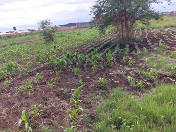 Commercial & Industrial Land