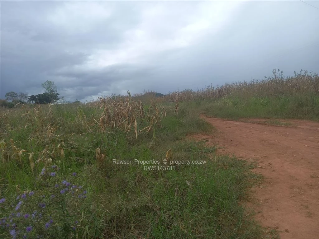 Land for Sale in Bindura RWS143781
