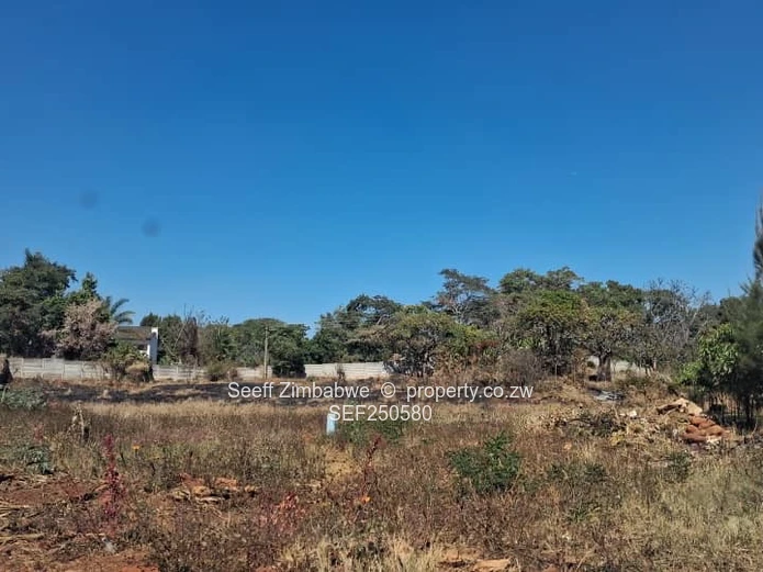 Prime Vacant Land Opportunity in Mandara