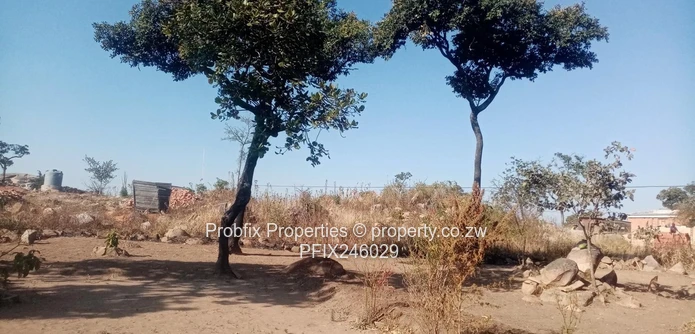 Crow Hill Residential Stand for Sale