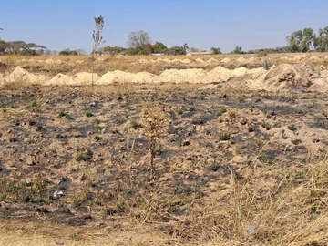 Land