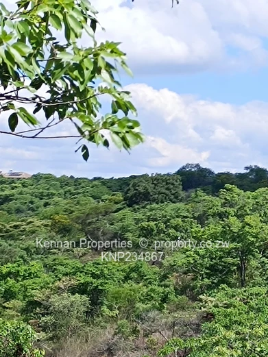  Prime 5,680sqm Stand with Exceptional Views