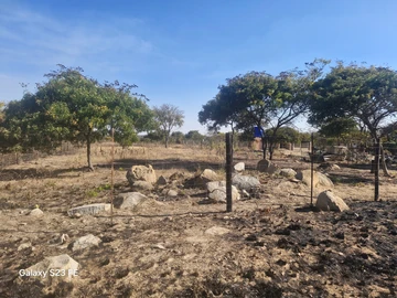 Farm & Agricultural Land