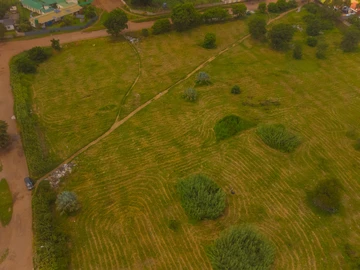 Commercial & Industrial Land