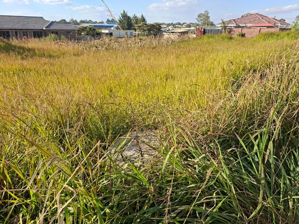 Stands & Residential Land