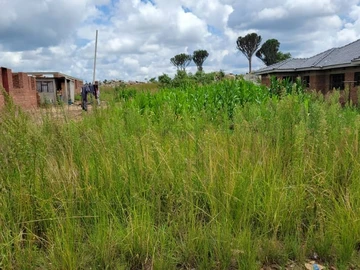 Stands & Residential Land