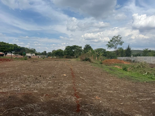 Stands & Residential Land