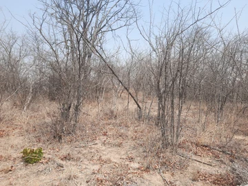 Farm & Agricultural Land