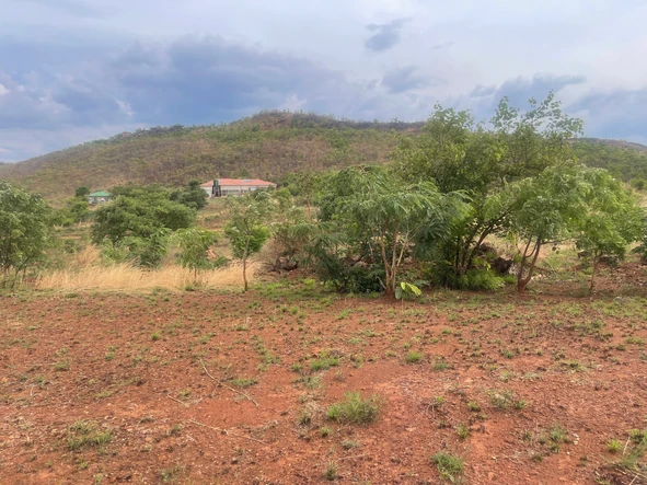 Commercial & Industrial Land