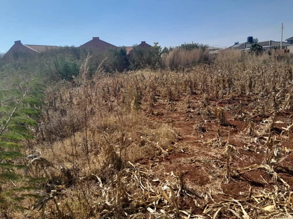 Stands & Residential Land