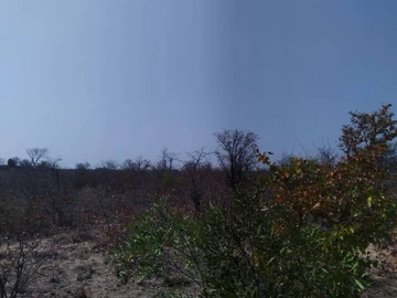 Farm & Agricultural Land