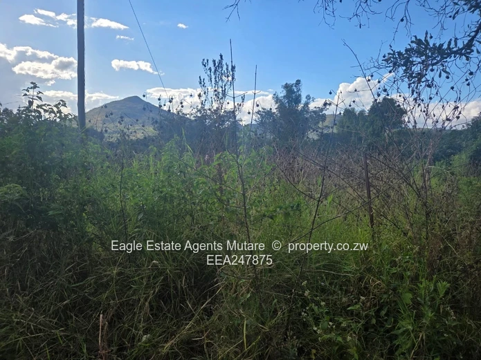 Fernvalley. Mutare