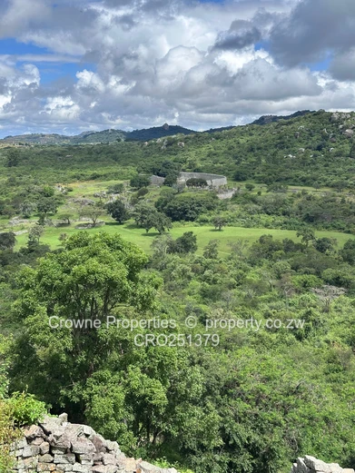 Residential Stand For Sale