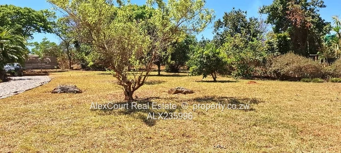 Subdivided Stand in Greystone Park!