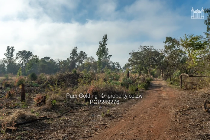 Development Oppourtunity Snake Park (Sole Mandate)