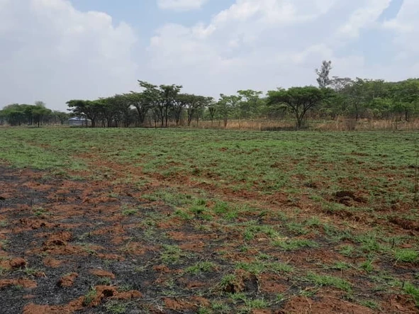 Farm & Agricultural Land