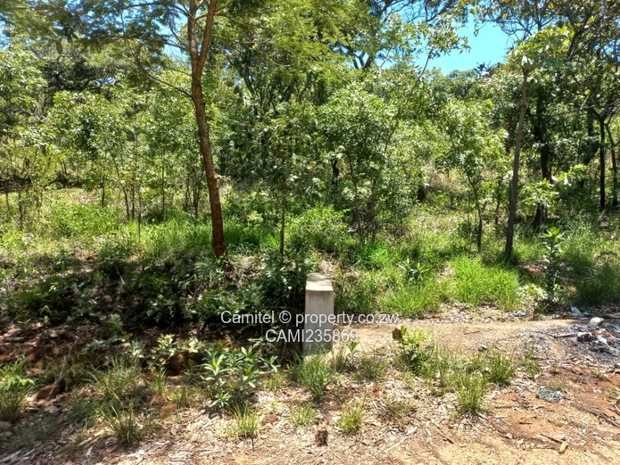 2000sqm stand with title deed in Shawasha on flat land:TERMS ACCEPTED 