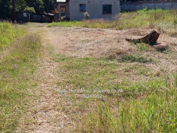 Sprawling 5-Bed Unfinished Home on 4,500m² — Westgate Main Rd
