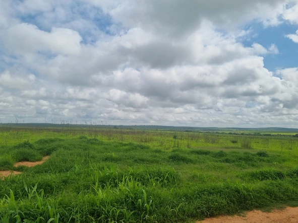 Farm & Agricultural Land