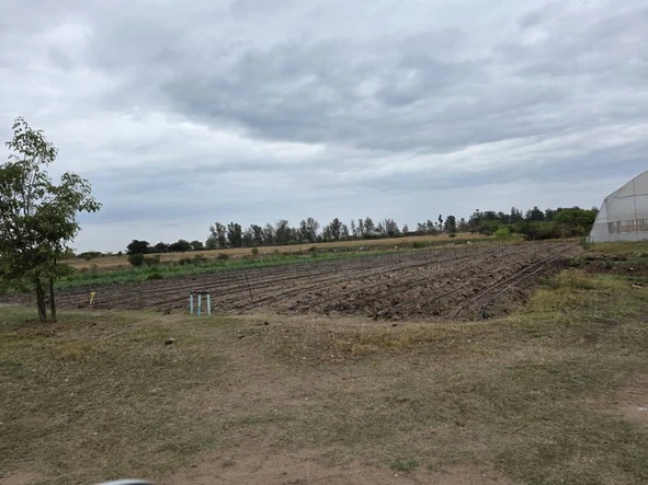 Farm & Agricultural Land