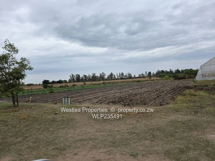 Grab this investment opportunity