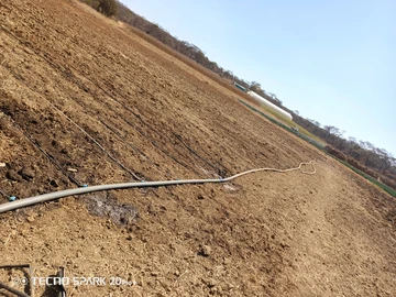 Farm & Agricultural Land