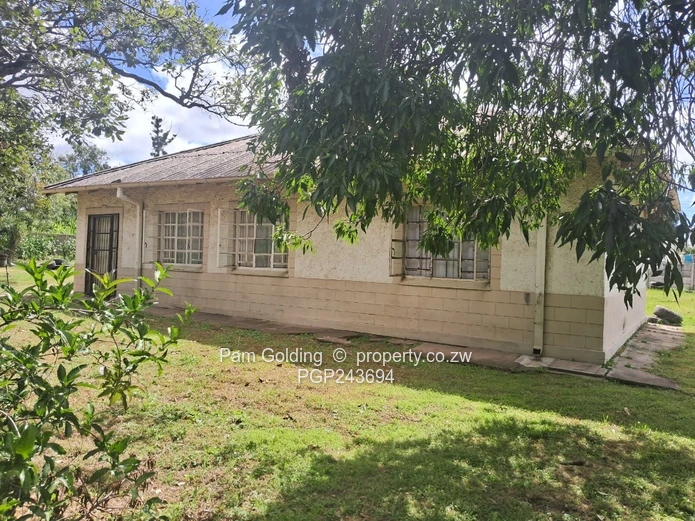 Prime Corner Stand with Development Potential