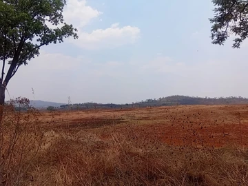 Farm & Agricultural Land