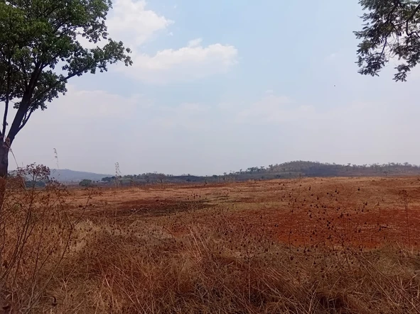 Farm & Agricultural Land