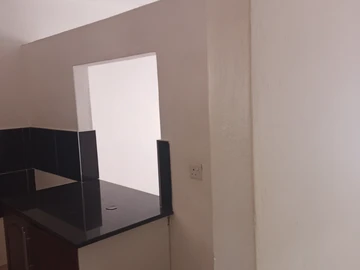 Flat & Apartment