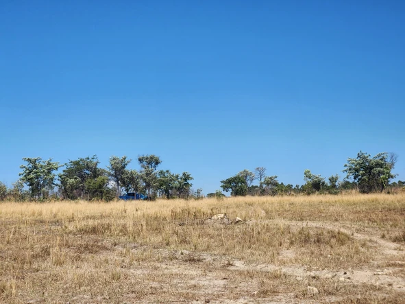 Farm & Agricultural Land