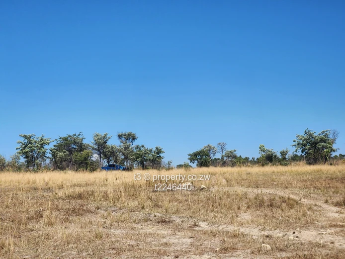  Darwendale Farm - 400 hectares 