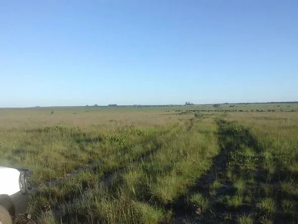 Farm & Agricultural Land