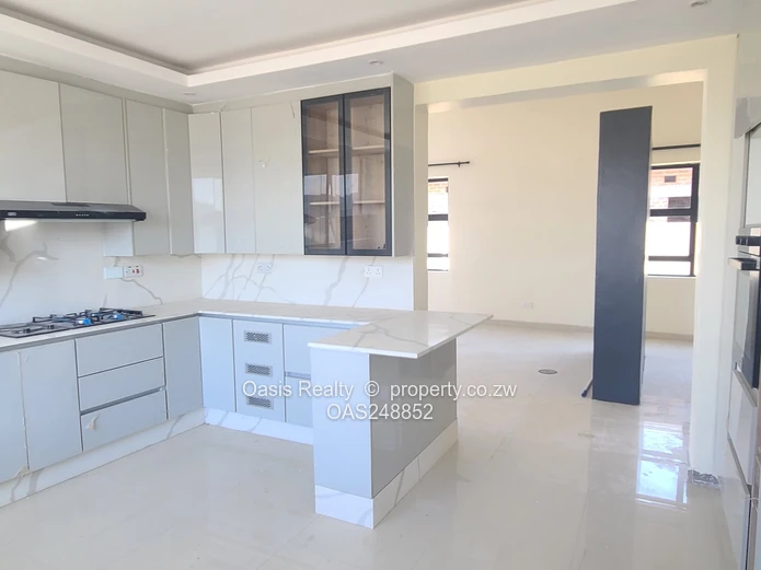 Newly Built Modern Townhouse For Rent in Arlington East