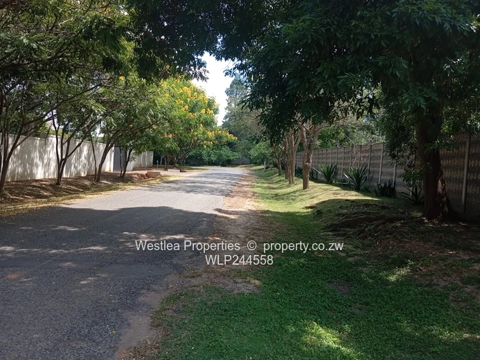 Grab this massive gem