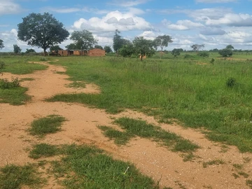 Farm & Agricultural Land