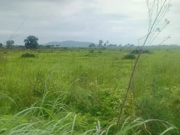 Commercial & Industrial Land