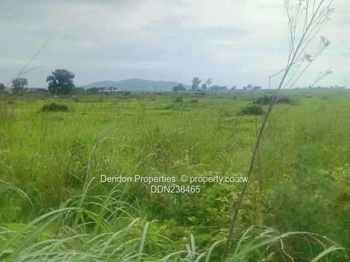 Industrial hub or New Residential Housing  (Sole Mandate)