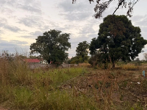 Stands & Residential Land