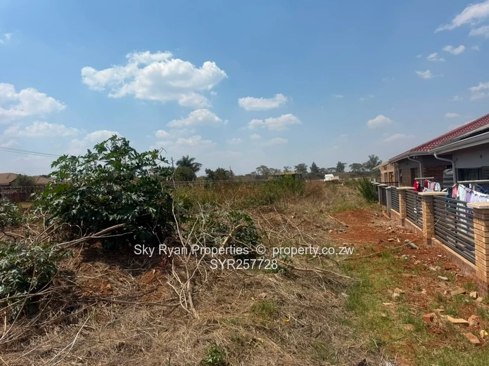 Cold Comfort Stand For Sale