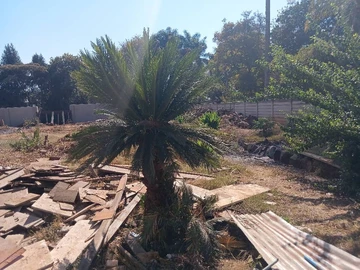 Stands & Residential Land